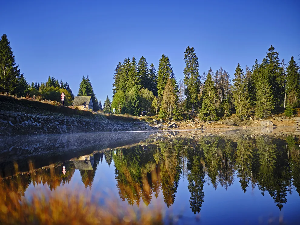 Naturcamping-Harz-am-See-Wandern-Wasserwanderweg-Oderteich