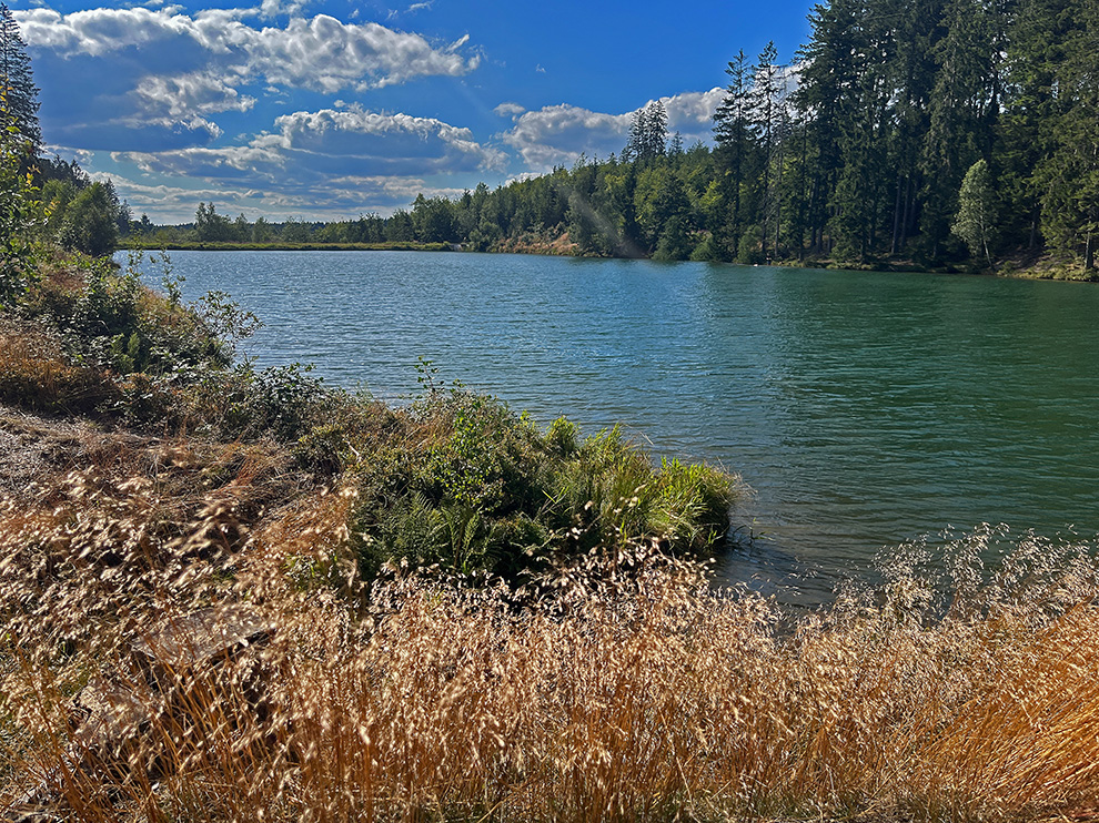 Naturcamping-Harz-am-See-Wandern-Teich