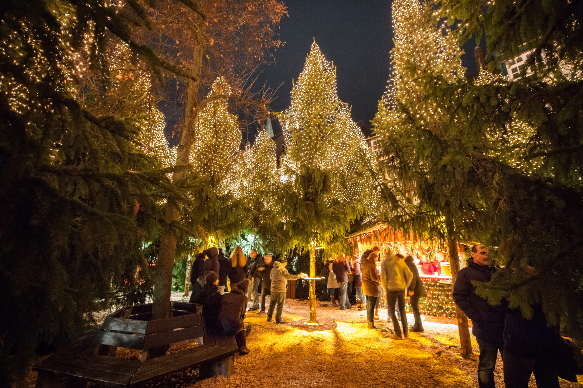 Naturcamping-Harz-am-See-Wandern-Rabenklippe-Brockenblick